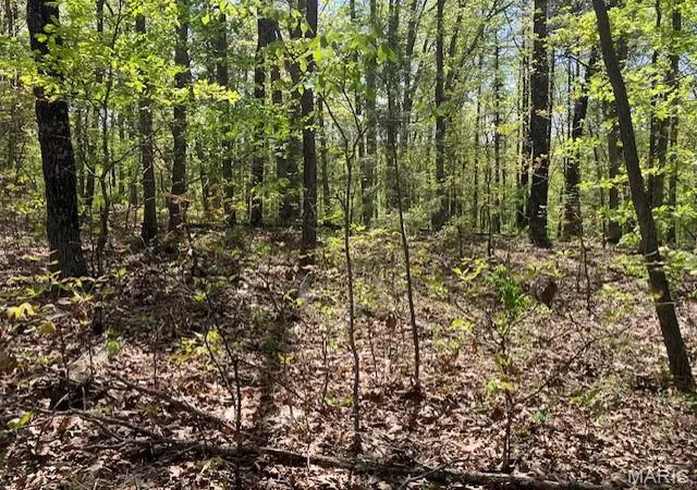 Homes for sale in Potosi, MO | 11 W State Hwy 8, Potosi, MO 63660 | MLS# MIS26024853