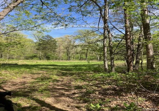 Homes for sale in Potosi, MO | 14 W State Hwy 8, Potosi, MO 63664 | MLS# MIS26024934