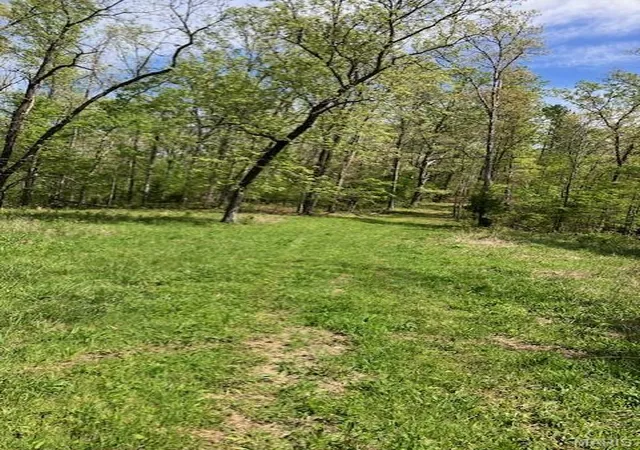 Homes for sale in Potosi, MO | 14 W State Hwy 8, Potosi, MO 63664 | MLS# MIS26024934