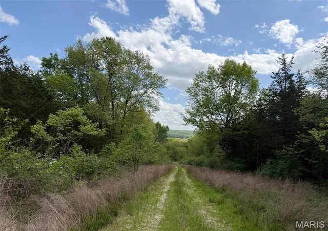 Photo 14 of Land for sale at 00 Wein St, Hermann, MO 65041 | MLS# MIS26025059 | Listing updated on 2026-08-20