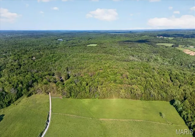 Homes for sale in Farmington, MO | 20610 Colony Church Rd, Farmington, MO 63640 | MLS# MIS26025242