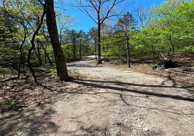 Photo 1 of Land for sale at 00 Ware, De Soto, MO 63020 | MLS# MIS26025516 | Listing updated on 2026-10-05