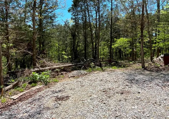Photo 2 of Land for sale at 00 Ware, De Soto, MO 63020 | MLS# MIS26025516 | Listing updated on 2026-10-05