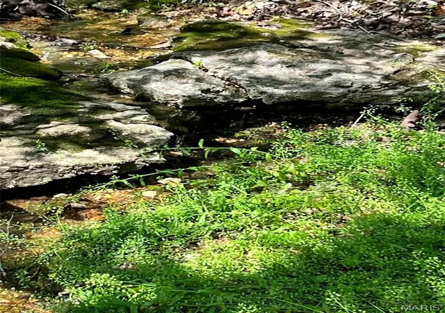 Photo 3 of Land for sale at 00 Ware, De Soto, MO 63020 | MLS# MIS26025516 | Listing updated on 2026-10-05