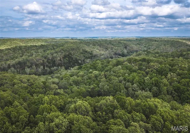 Homes for sale in Newburg, MO | 15310 County Road 7250, Newburg, MO 65550 | MLS# MIS26026275