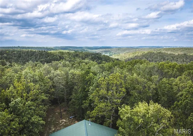 Homes for sale in Newburg, MO | 15310 County Road 7250, Newburg, MO 65550 | MLS# MIS26026275