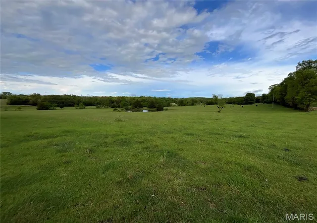 Homes for sale in West Plains, MO | 000 County Road 6750, West Plains, MO 65775 | MLS# MIS26026332