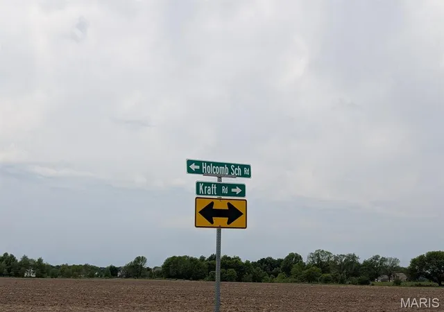 Homes for sale in Freeburg, IL | 6906 Holcomb School Rd, Freeburg, IL 62243 | MLS# MIS26026543