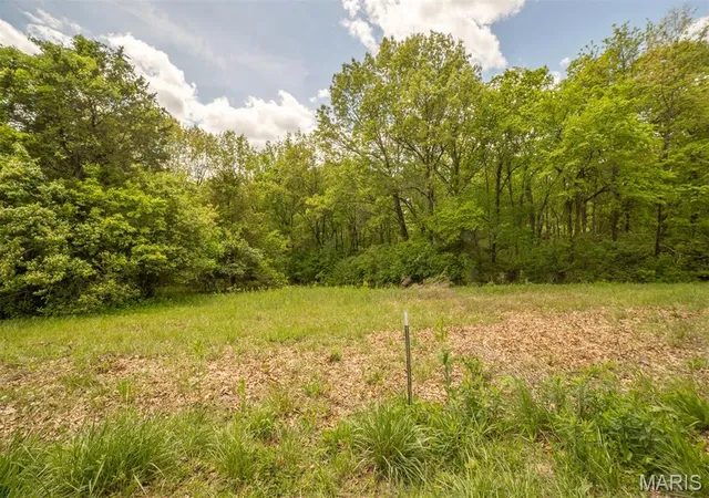 Homes for sale in Elsberry, MO | 00 W Chilcutt Trl, Elsberry, MO 63343 | MLS# MIS26026664