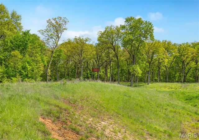 Homes for sale in Dorsey, IL | 222 C Prairietown Rd, Dorsey, IL 62021 | MLS# MIS26026799