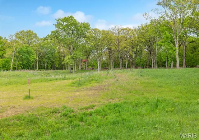 Homes for sale in Dorsey, IL | 222 C Prairietown Rd, Dorsey, IL 62021 | MLS# MIS26026799