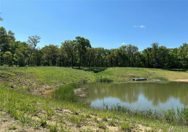 Homes for sale in Dorsey, IL | 222 C Prairietown Rd, Dorsey, IL 62021 | MLS# MIS26026799