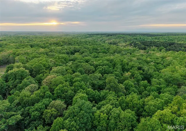 1st image of 65 Acres+  E Hwy 32, Salem, MO 65560 | MLS# MIS26027193