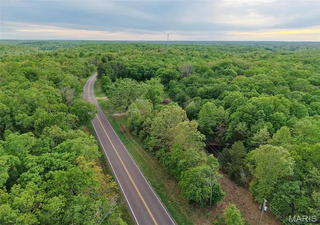 3rd image of 65 Acres+- E Hwy 32, Salem, MO 65560 | MLS# MIS26027193