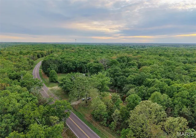 4th image of 65 Acres+- E Hwy 32, Salem, MO 65560 | MLS# MIS26027193