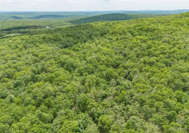 27th image of 1 Buck Mountain Rd, Doe Run, MO 63637 | MLS# MIS26027452