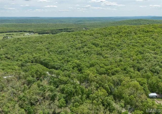4th image of 1 Buck Mountain Rd, Doe Run, MO 63637 | MLS# MIS26027452