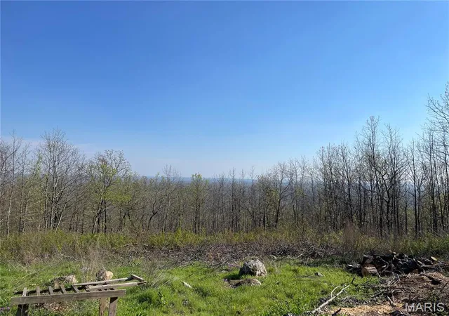 Homes for sale in Piedmont, MO | 1190 Private Road 349A-5, Piedmont, MO 63957 | MLS# MIS26027453
