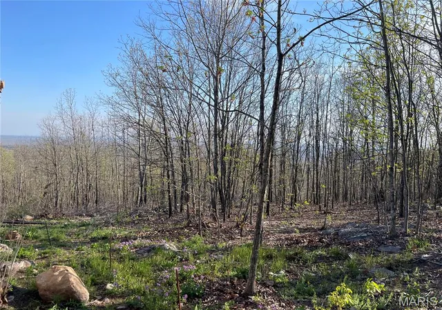 Homes for sale in Piedmont, MO | 1190 Private Road 349A-5, Piedmont, MO 63957 | MLS# MIS26027453