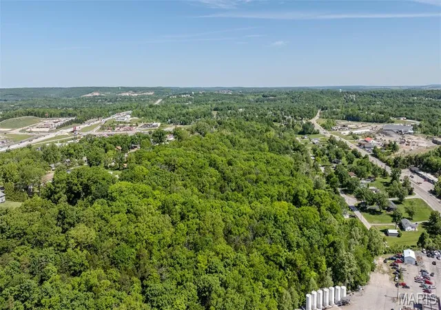 Homes for sale in Herculaneum, MO | 1393 Spring Dr, Herculaneum, MO 63048 | MLS# MIS26027585