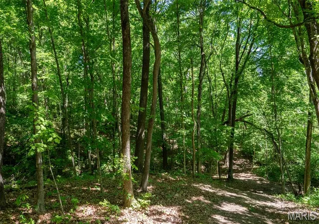 Homes for sale in Herculaneum, MO | 1393 Spring Dr, Herculaneum, MO 63048 | MLS# MIS26027585