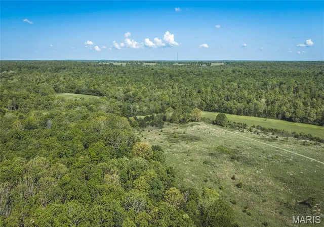 Homes for sale in Edgar Springs, MO | 1 Hwy Ff, Edgar Springs, MO 65462 | MLS# MIS26027635