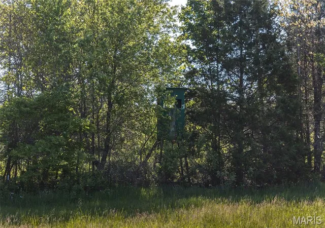 Homes for sale in Edgar Springs, MO | 1 Hwy Ff, Edgar Springs, MO 65462 | MLS# MIS26027635