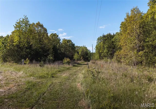 Homes for sale in Edgar Springs, MO | 4 Hwy Ff, Edgar Springs, MO 65462 | MLS# MIS26027668