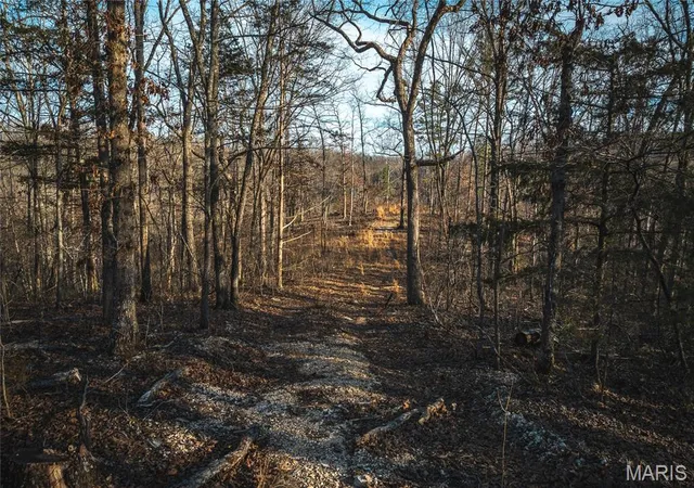 Homes for sale in Eminence, MO | 000 County Road 19-208 Tract 3, Eminence, MO 65446 | MLS# MIS26027732