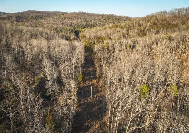 Homes for sale in Eminence, MO | 000 County Road 19 208, Eminence, MO 65446 | MLS# MIS26027745