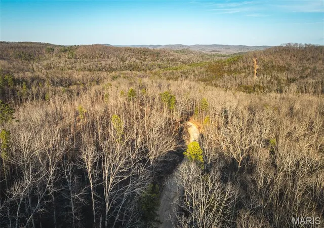 Homes for sale in Eminence, MO | 000 County Road 19 208, Eminence, MO 65446 | MLS# MIS26027745