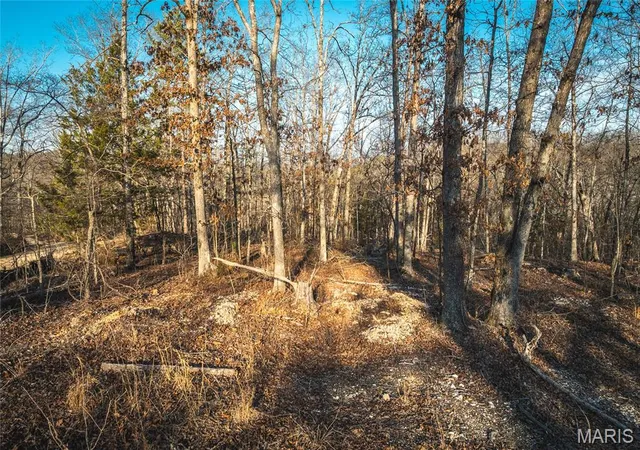 Homes for sale in Eminence, MO | 000 County Road 19-208, Eminence, MO 65446 | MLS# MIS26027745