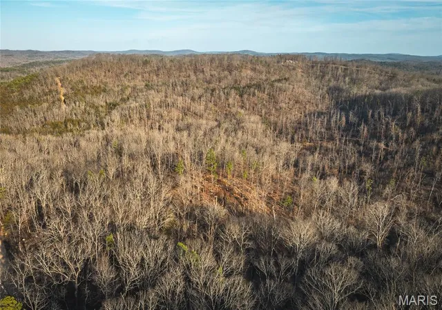 Homes for sale in Eminence, MO | 000 County Road 19-208, Eminence, MO 65446 | MLS# MIS26027745