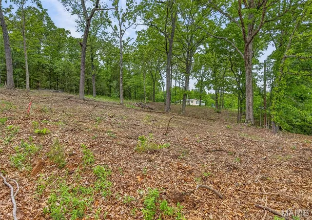 Homes for sale in Bonne Terre, MO | 000 Andre Cts, Bonne Terre, MO 63628 | MLS# MIS26028288