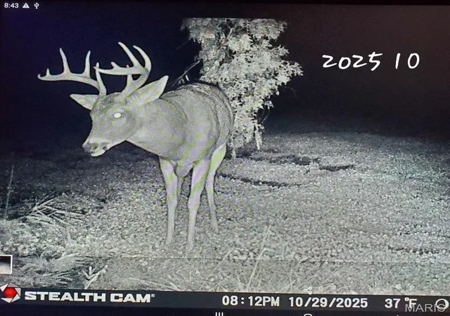 Homes for sale in Humphreys, MO | 153 +/  Ac Aspen Dr, Humphreys, MO 64646 | MLS# MIS26028338