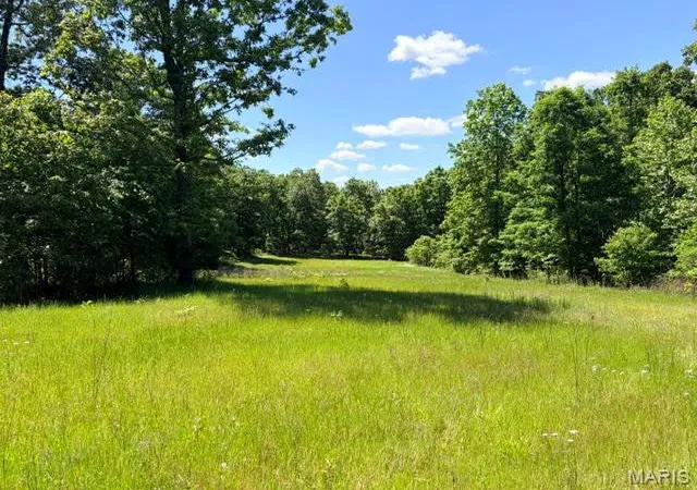 1st image of 1 Ripley Route V, Doniphan, MO 63935 | MLS# MIS26028362