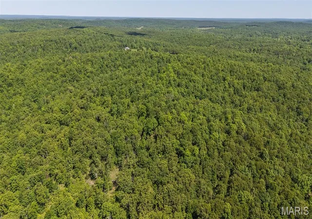 2nd image of 1 Ripley Route V, Doniphan, MO 63935 | MLS# MIS26028362