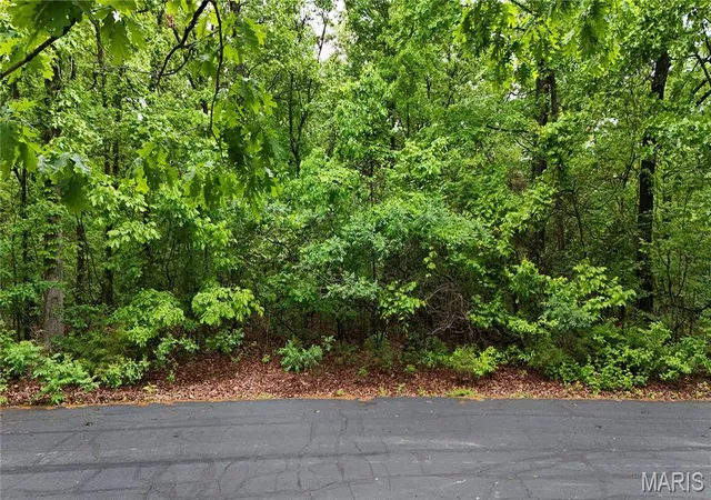 Photo 3 of Land for sale at 00 Autumn Wood Road, De Soto, MO 63020 | MLS# MIS26028373 | Listing updated on 2026-06-16