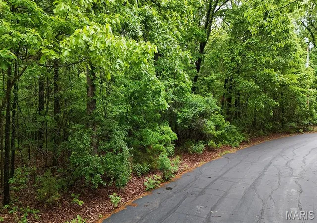 Photo 3 of Land for sale at 00 Autumn Wood Road, De Soto, MO 63020 | MLS# MIS26028373 | Listing updated on 2026-06-16