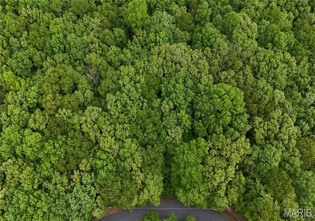 Photo 4 of Land for sale at 00 Autumn Wood Road, De Soto, MO 63020 | MLS# MIS26028373 | Listing updated on 2026-06-16