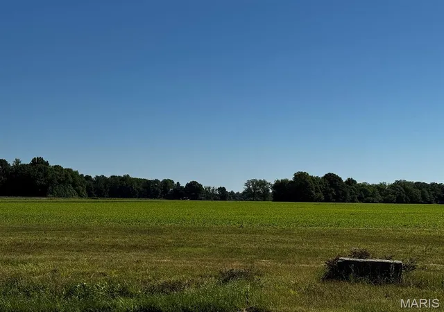 2nd image of 2221 County Road 608, Poplar Bluff, MO 63901 | MLS# MIS26028382