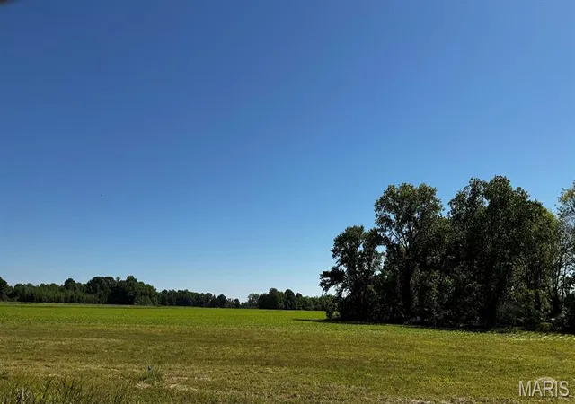 Photo 3 of Land for sale at 2221 County Road 608, Poplar Bluff, MO 63901 | MLS# MIS26028382 | Listing updated on 2026-05-07