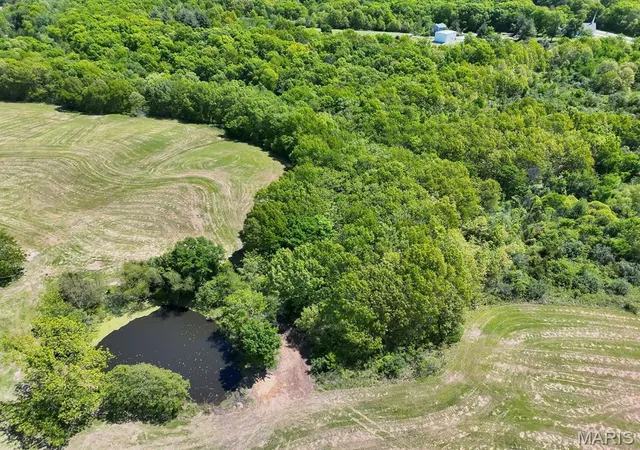 Homes for sale in Bowling Green, MO | 0 Hwy Nn (Tract 2 - 908+/- Acres), Bowling Green, MO 63334 | MLS# MIS26028810