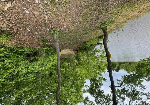 3rd image of 1020 Seckman Rd, Imperial, MO 63052 | MLS# MIS26028864