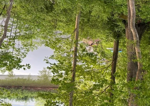 4th image of 1020 Seckman Rd, Imperial, MO 63052 | MLS# MIS26028864
