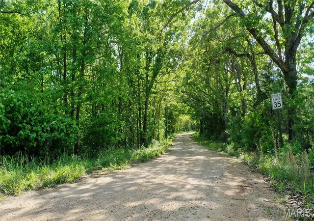 Homes for sale in Salem, MO | Tract 3 County Rd 4215, Salem, MO 65560 | MLS# MIS26029232