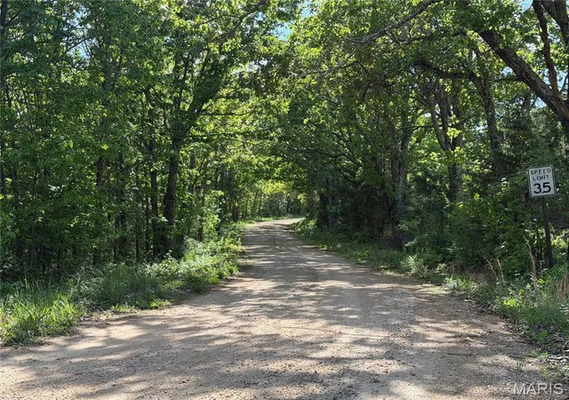 Homes for sale in Salem, MO | Tract 4 County Rd 4215, Salem, MO 65560 | MLS# MIS26029234