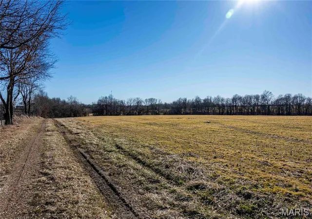 Homes for sale in Bowling Green, MO | 00 Hwy Hh, Bowling Green, MO 63334 | MLS# MIS26029504
