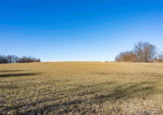 Homes for sale in Bowling Green, MO | 00 Hwy Hh, Bowling Green, MO 63334 | MLS# MIS26029504