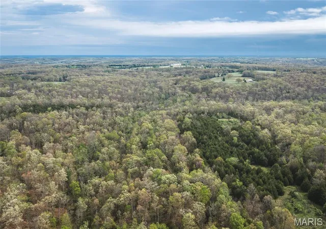 Photo 1 of Sale Pending at Tract 2 Cleavesville Rd, Bland, MO 65014 | MLS# MIS26029607 | Listing updated on 2026-09-03